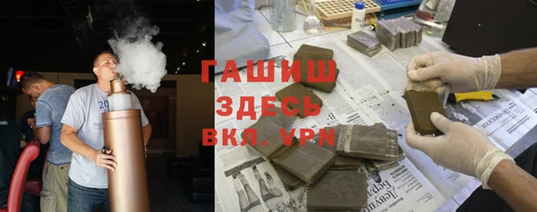 индика Михайловск