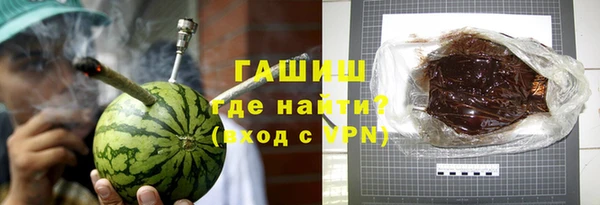 индика Михайловск