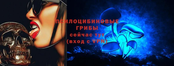 индика Михайловск