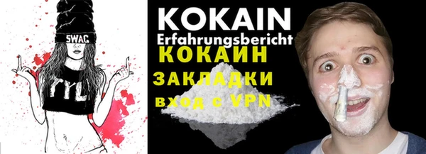индика Михайловск