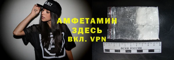 индика Михайловск