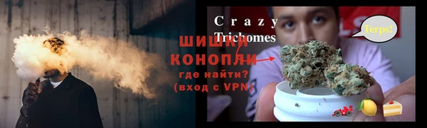 индика Михайловск