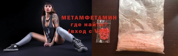 индика Михайловск