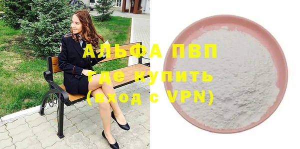 индика Михайловск