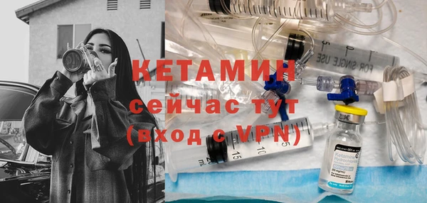 индика Михайловск
