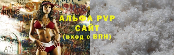 индика Михайловск