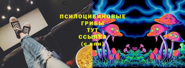индика Михайловск