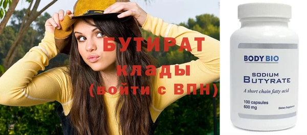 индика Михайловск