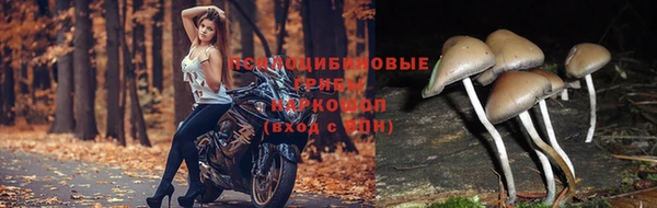 ALPHA-PVP Михайловка