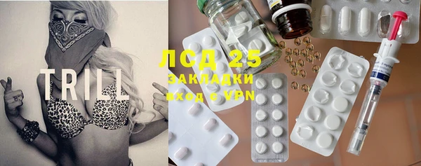 индика Михайловск